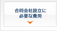 合同会社設立に必要な費用