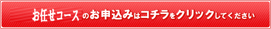 合同会社設立お任せコース