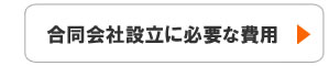 合同会社設立に必要な費用