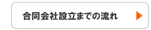 合同会社設立までの流れ